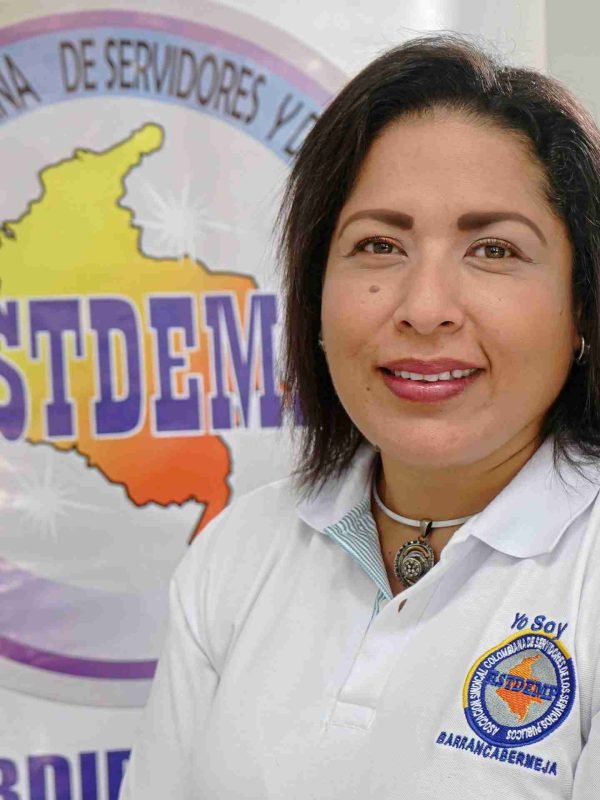 Luz Dary Navarro Hernandez comision juridica